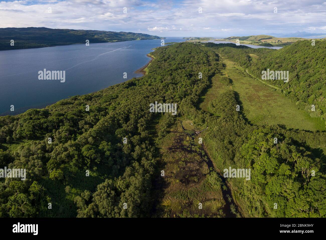 Luftbild mit Blick auf Taynish National National Nature Reserve und Loch Sween, Argyll und Bute, Schottland, Großbritannien, Juni 2016. Stockfoto