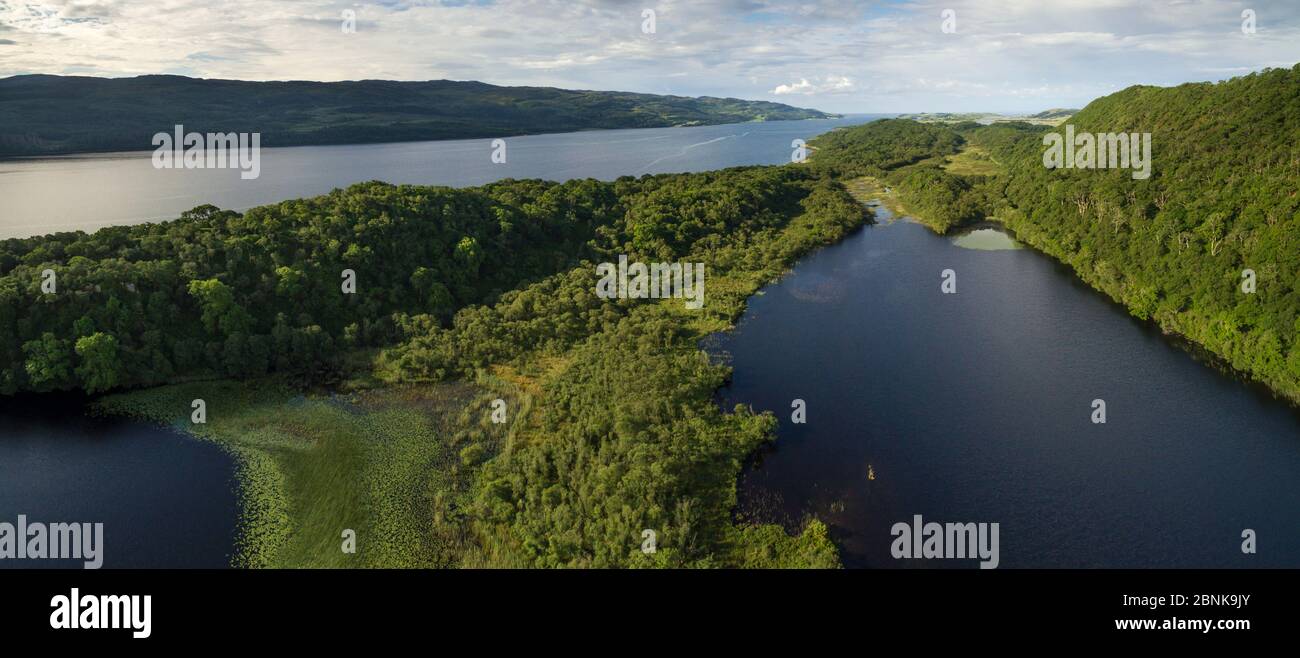 Luftaufnahme mit Blick auf Taynish National Nature Reserve einschließlich Lochan Taynish und hinaus nach Loch Sween, Argyll und Bute, Schottland, Großbritannien, 2. Juni Stockfoto