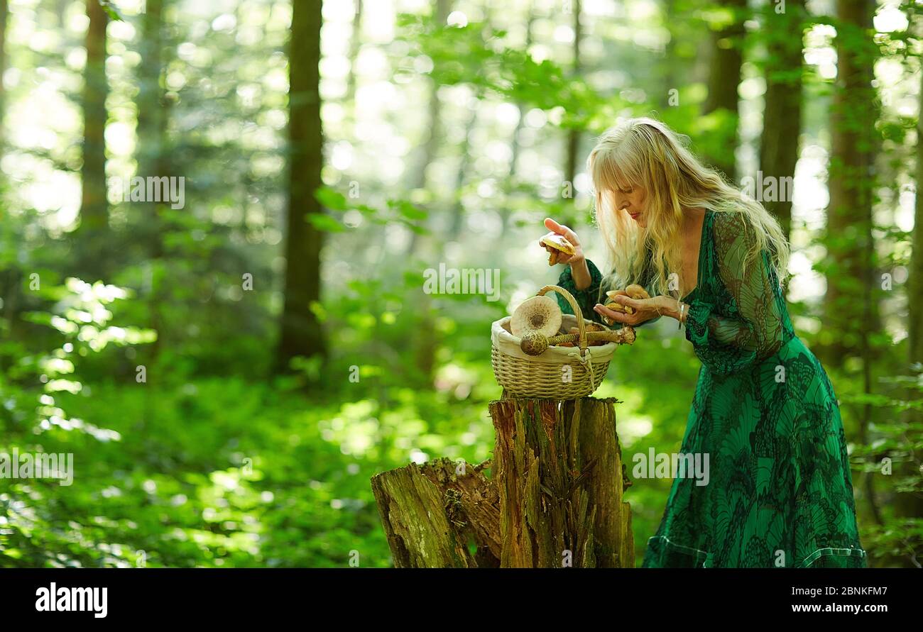 Frau auf der Suche nach Pilzen im Wald Stockfoto