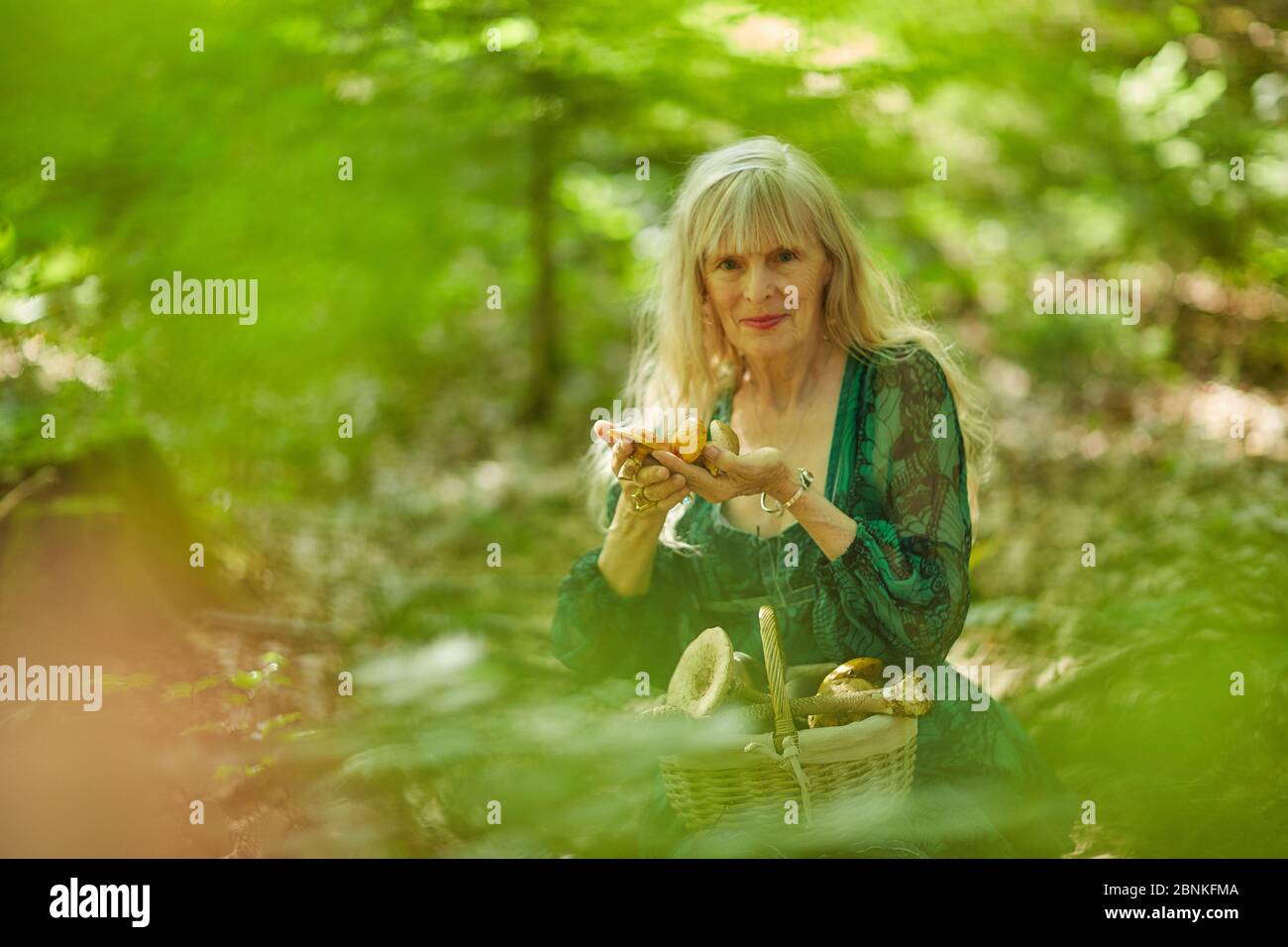 Frau auf der Suche nach Pilzen im Wald Stockfoto