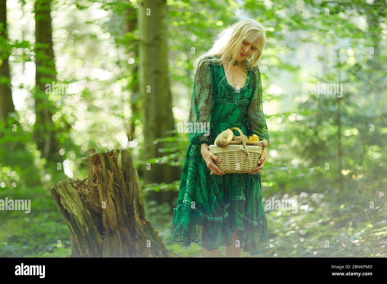 Frau auf der Suche nach Pilzen im Wald Stockfoto