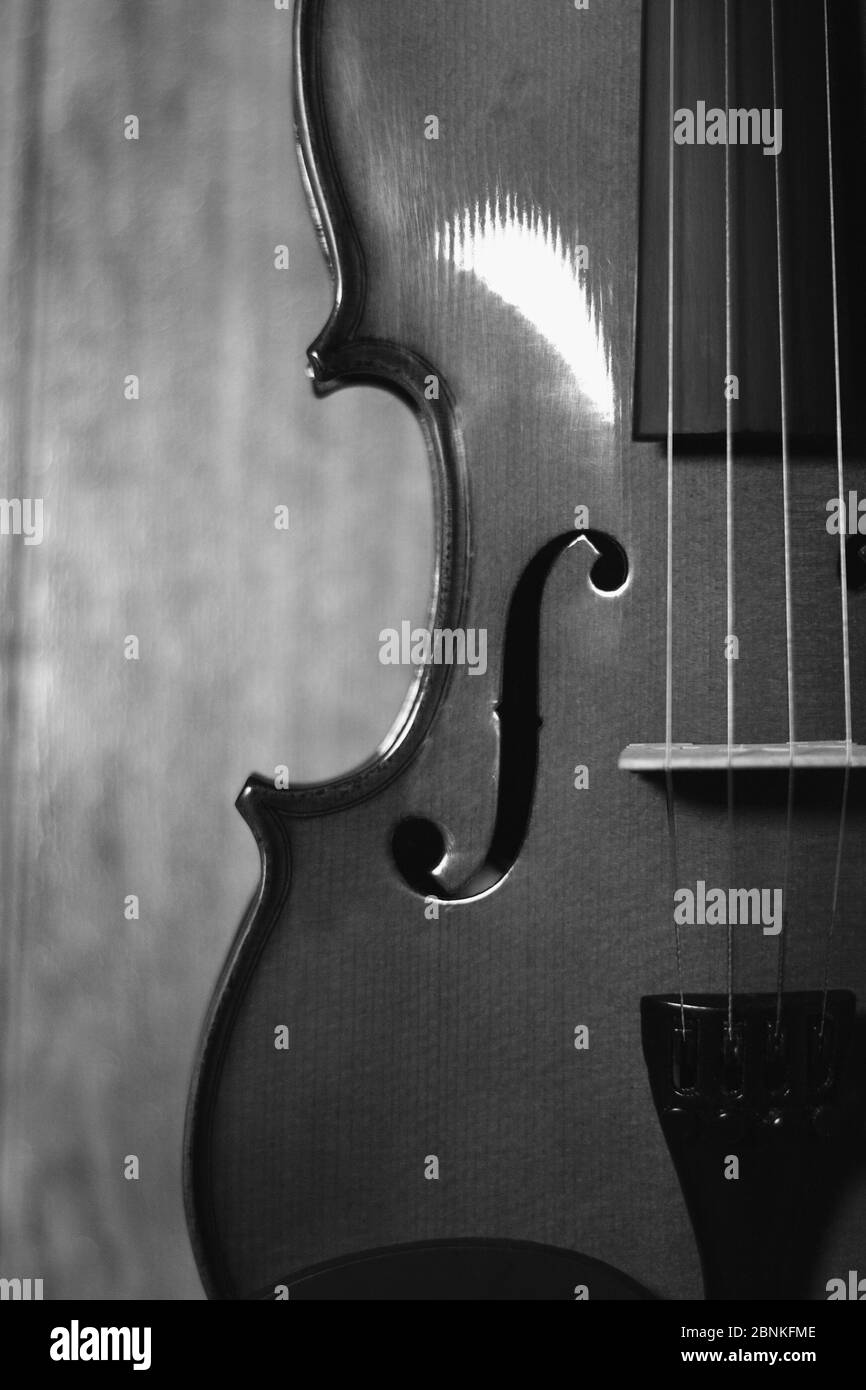 Details einer Geige 4 Saiten Musikinstrumente mit Holz im Hintergrund schwarz-weiß Stil Stockfoto