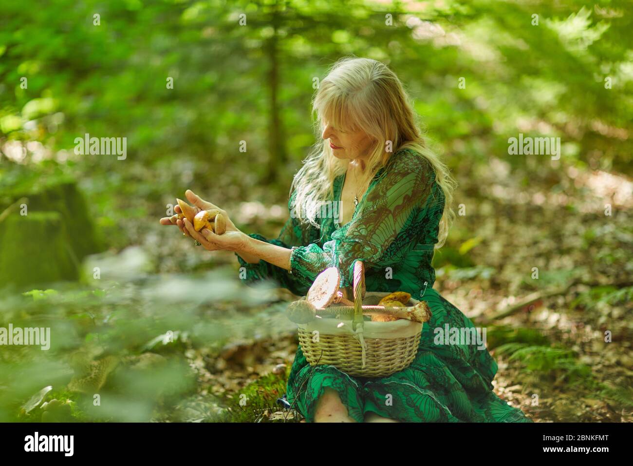 Frau auf der Suche nach Pilzen im Wald Stockfoto