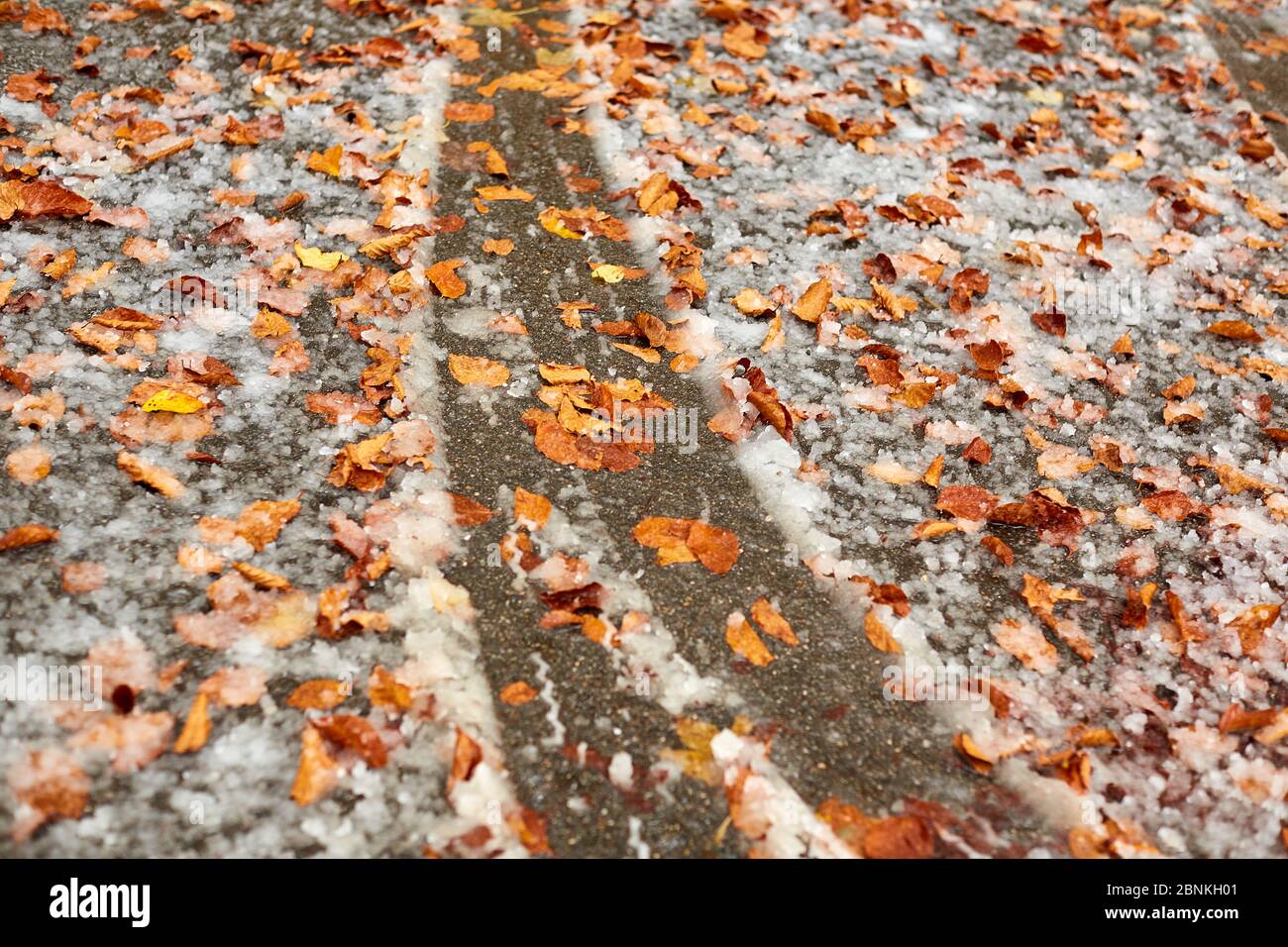 Straße, Blätter, Eis, Schnee, Reifenspuren, Stockfoto