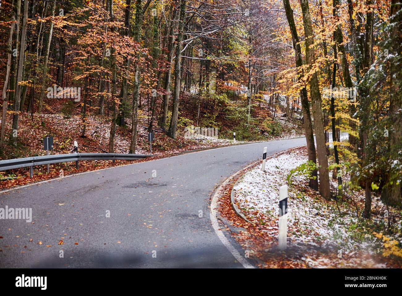 Straße, Kurve, Herbst, nass, Schnee, Eis, Fahrerperspektive Stockfoto