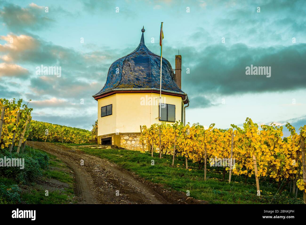 Weinbauhaus auf der Bubenhäuser Höhe im Rheingau, zwischen Rauenthal und Eltville, Teil der Hessischen Staatsweingüter Kloster Eberbach, Herbststimmung im goldenen Oktober, Stockfoto