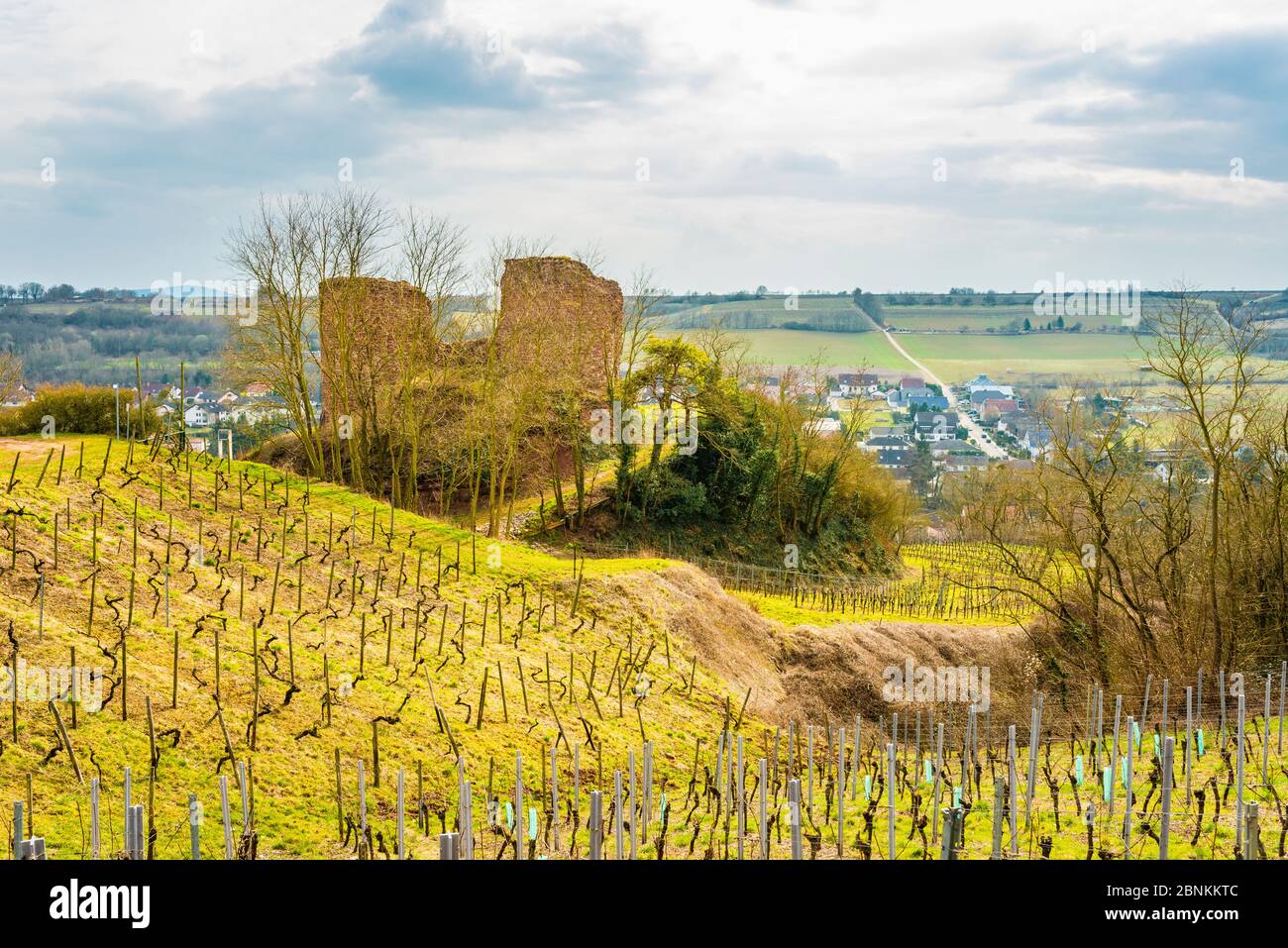 Castro Weitersheim, Burgruine Gutenburg, bei Gutenberg, Hügelburg mit Ringzwinger, Weingarten um den Burghügel, Stockfoto