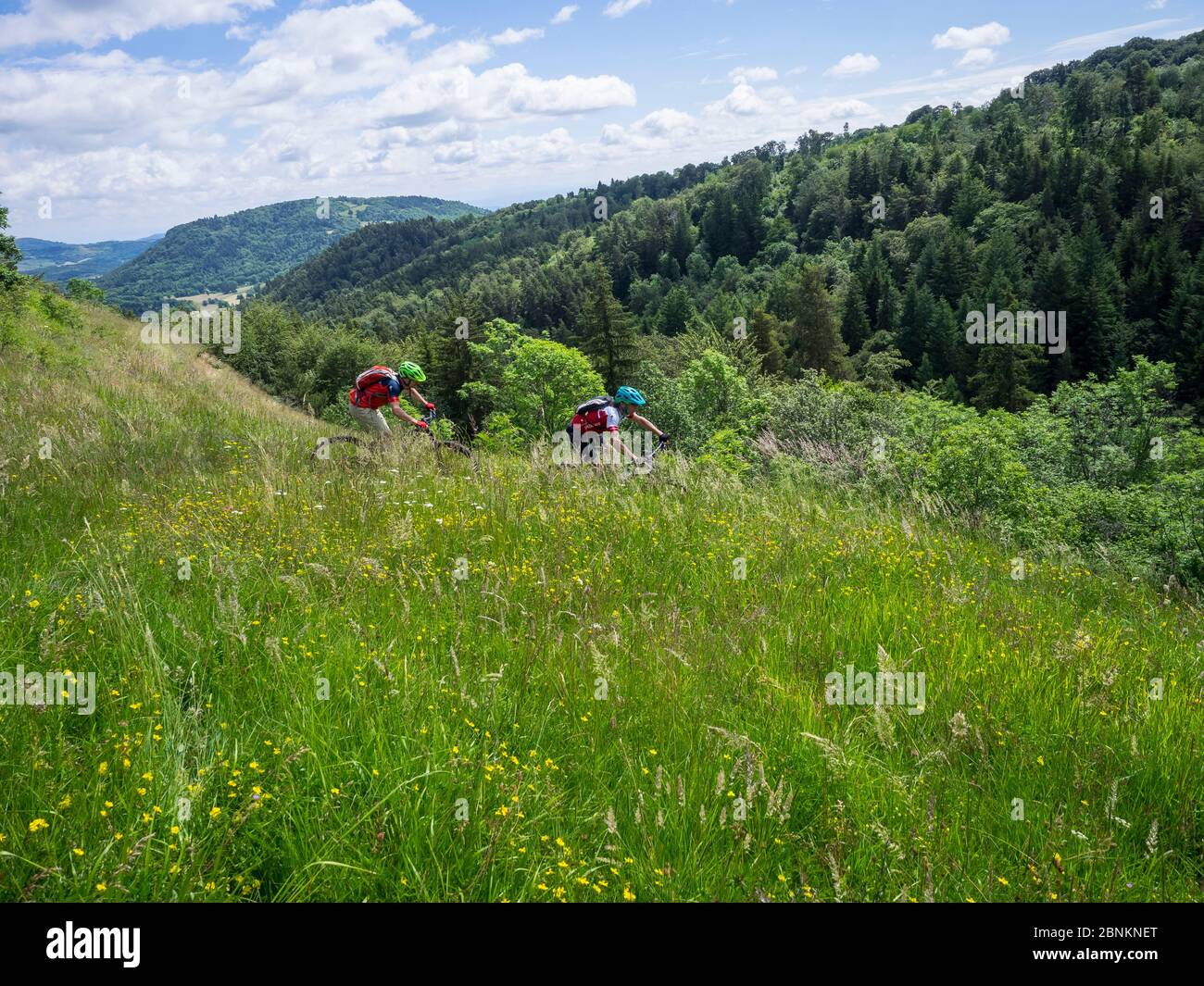 Mountainbiker in der Nähe des Dorfes Montaleix im Zentralmassiv, in der Auvergne in Frankreich. Stockfoto