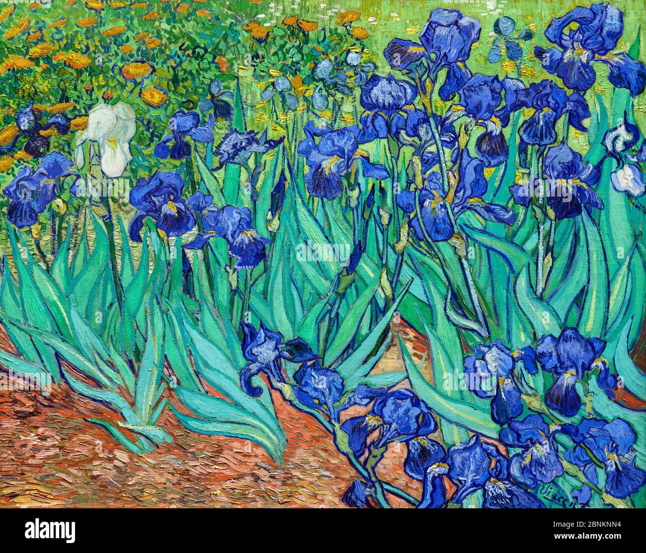 Van Gogh, Iris. Gemälde „Iris“ von Vincent van Gogh (1853-1890), Öl auf Leinwand, 1889. Stockfoto