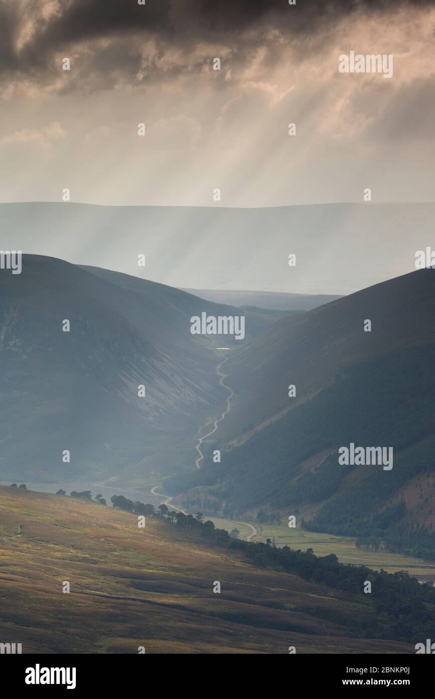 Die Wellen des Lichtes über Glenfeshie, Cairngorms National Park, Schottland, UK, September 2013. Stockfoto