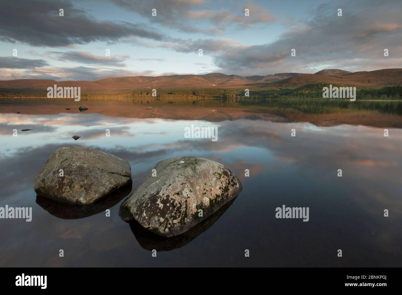 Loch Morlich im Abendlicht, Cairngorms National Park, Schottland, UK, August 2014. Stockfoto