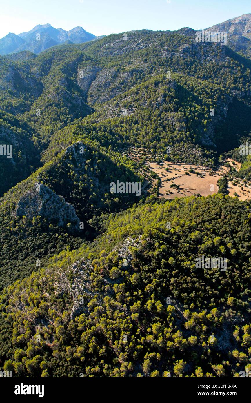 Tramuntana-Gebirge in Crestatx, Mallorca, Balearen, Spanien Stockfoto