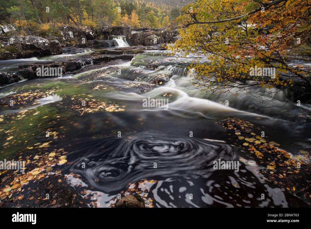 Fluss Cannich im Herbst, Glen Cannich, Highlands, Schottland, Großbritannien, Oktober 2015. Stockfoto