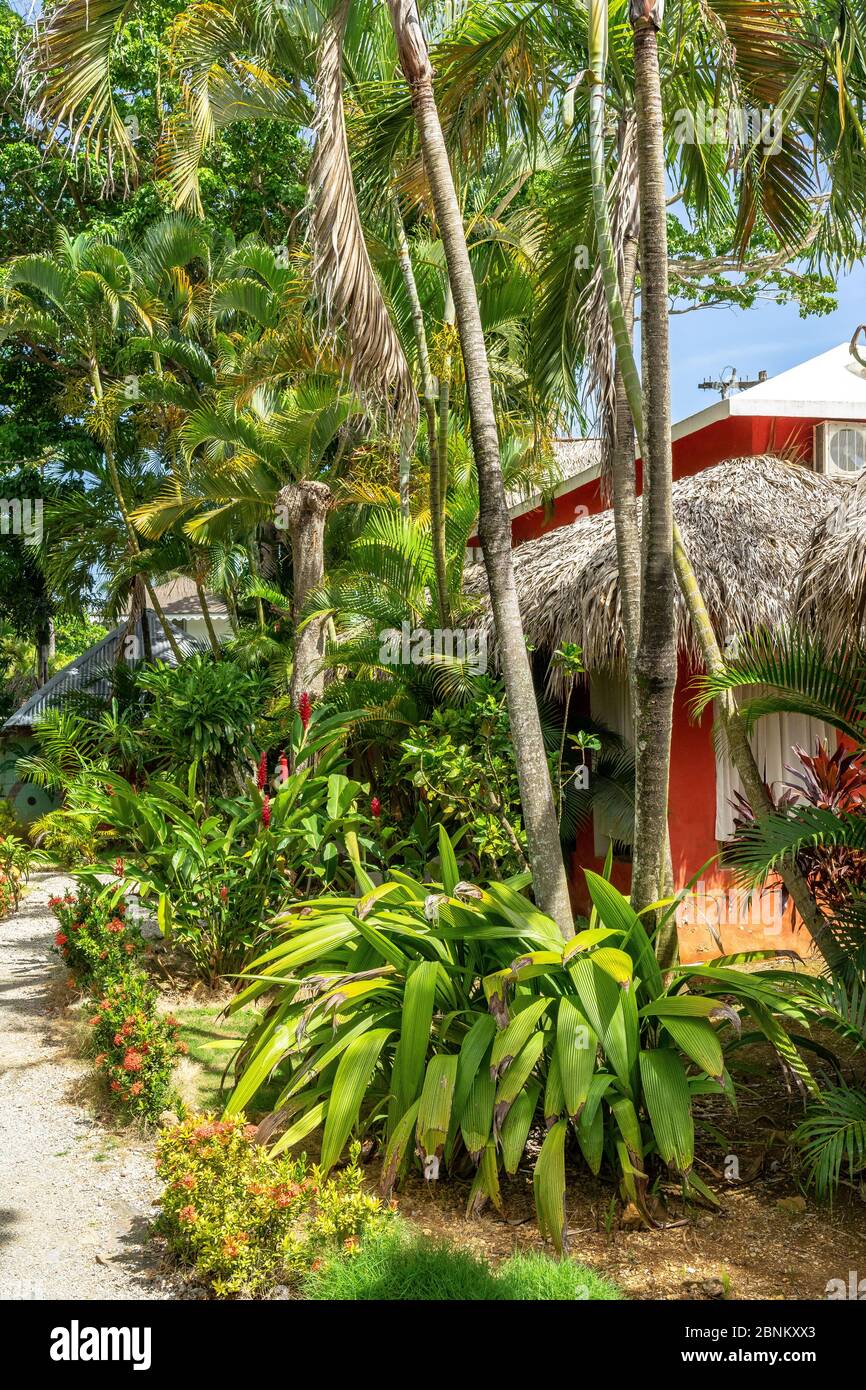 Amerika, Karibik, große Antillen, Dominikanische Republik, Samaná, Las Terrenas, Hotel La Tortuga in Las Terrenas Stockfoto