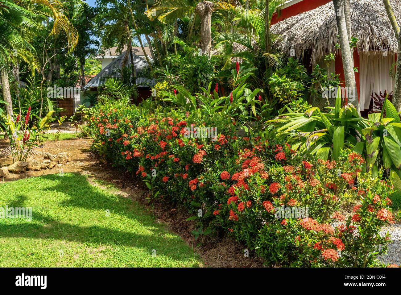 Amerika, Karibik, große Antillen, Dominikanische Republik, Samaná, Las Terrenas, Hotel La Tortuga in Las Terrenas Stockfoto