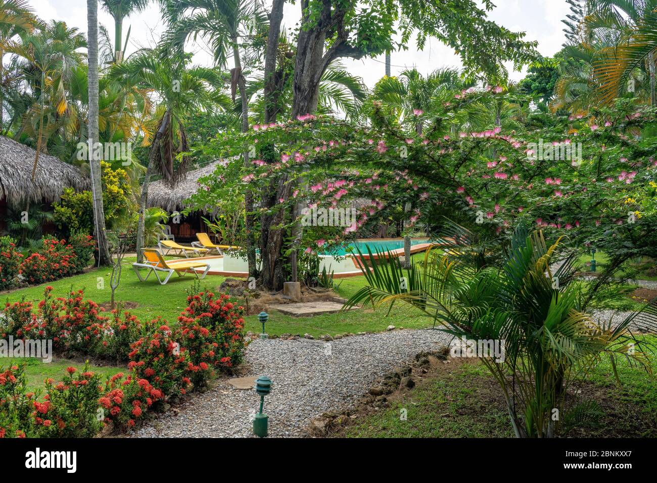 Amerika, Karibik, große Antillen, Dominikanische Republik, Samaná, Las Terrenas, Hotel La Tortuga in Las Terrenas Stockfoto