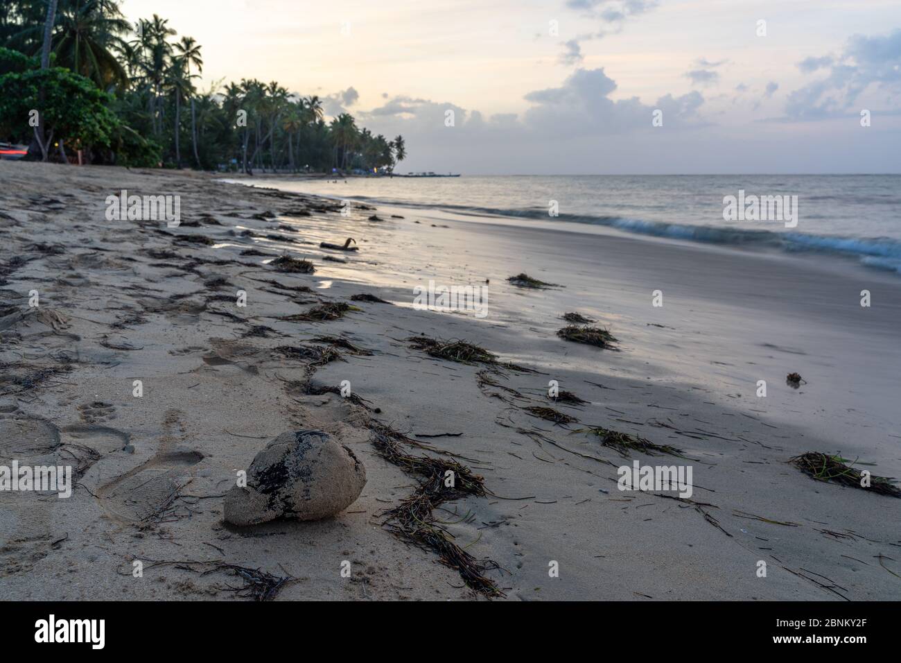 Amerika, Karibik, große Antillen, Dominikanische Republik, Samaná, Las Terrenas, Abendstimmung am Strand von Las Terrenas Stockfoto