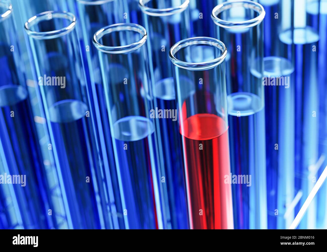 Reagenzgläser mit roter oder blauer Flüssigkeit in einem Halter. Prüflabor, chemische Testeinrichtung, medizinische Tests. Stockfoto