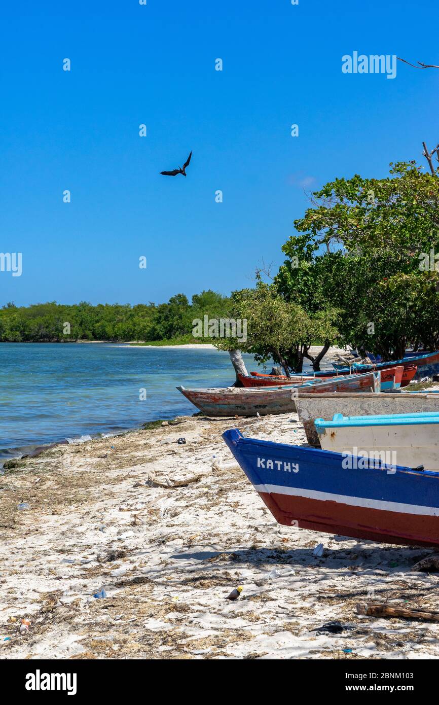 Amerika, Karibik, große Antillen, Dominikanische Republik, Barahona, Fischerboote am Playa Luci Landia del Sur Stockfoto