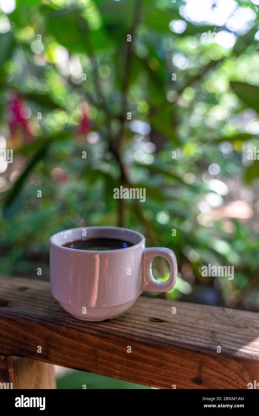 Amerika, Karibik, große Antillen, Dominikanische Republik, Jarabacoa, Los Calabazos, Sonido del Yaque Eco Lodge, Kaffeetasse auf der Terrasse Geländer eines Bungalows Stockfoto