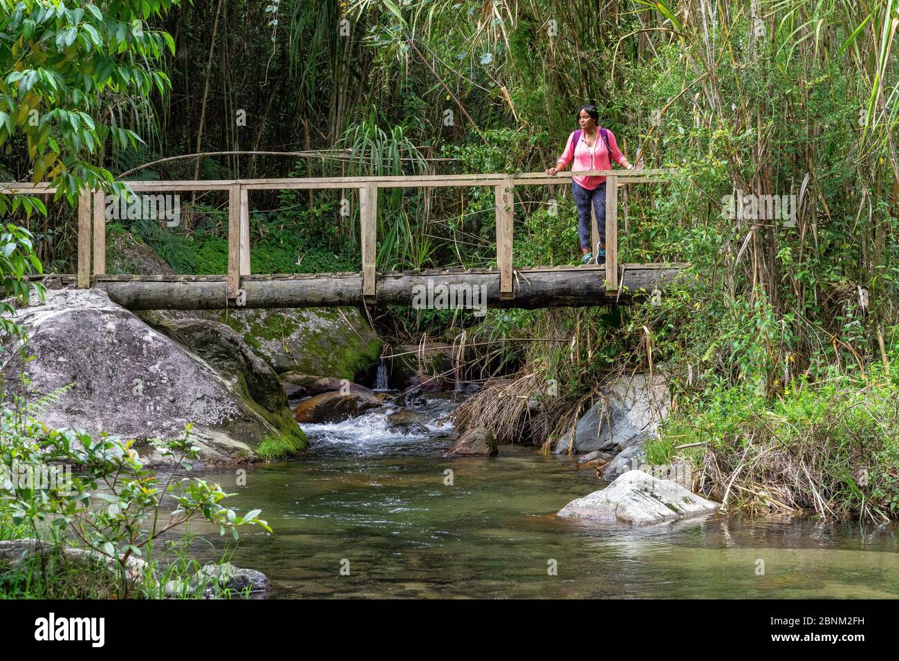 Amerika, Karibik, große Antillen, Dominikanische Republik, Jarabacoa, Manabao, Parque Nacional José Armando Bermúdez, Pico Duarte, Wanderin steht auf einer Holzbrücke über den Yaque del Norte und blickt in die Landschaft Stockfoto