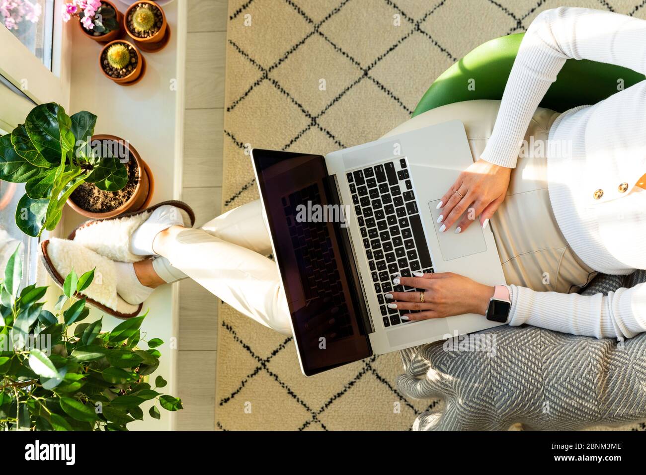 Frau, die auf dem Sessel sitzt und die Füße auf die Fensterbank legt, mit Zimmerpflanzen in Blumentopf, arbeitet zu Hause während der Selbstisolation am Laptop. Busin Stockfoto