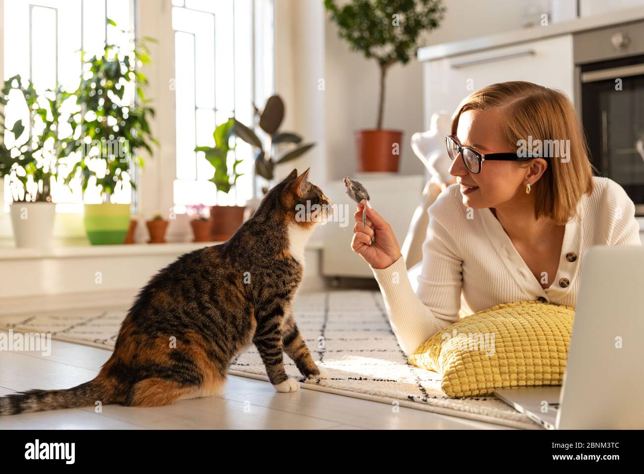 Lächelnde Frau Freelancer liegt auf dem Teppich im Wohnzimmer, spielt mit Katze eine Spielzeugmaus zu Hause, Arbeit auf Laptop während der Sperrung durch Coronavirus. Stockfoto