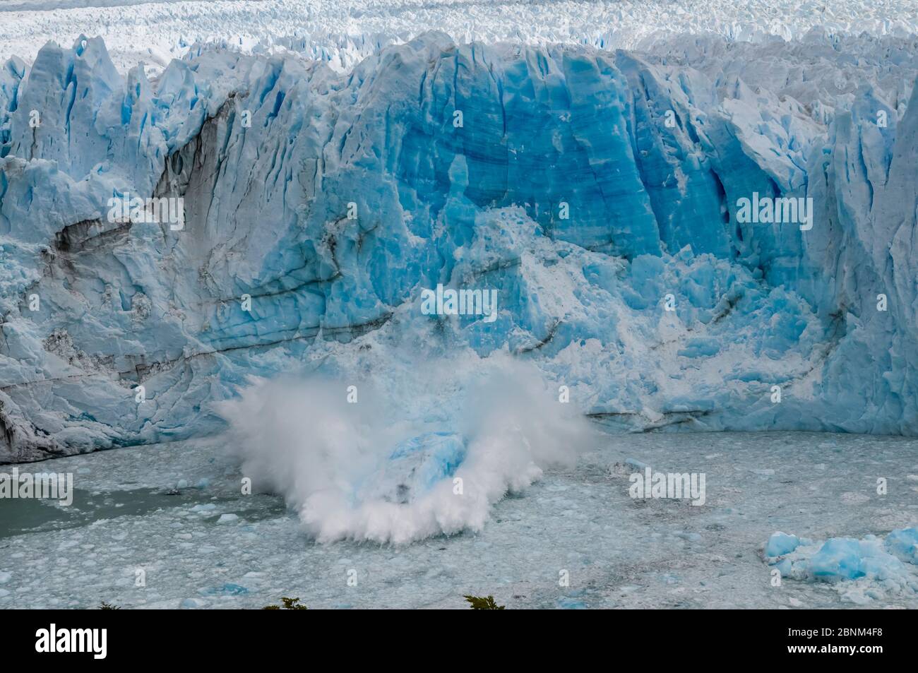 Eis kalbung von Perito Moreno Gletscher, Nationalpark Los Glaciares, Santa Cruz, Patagonien, Argentinien. Februar 2010. Stockfoto