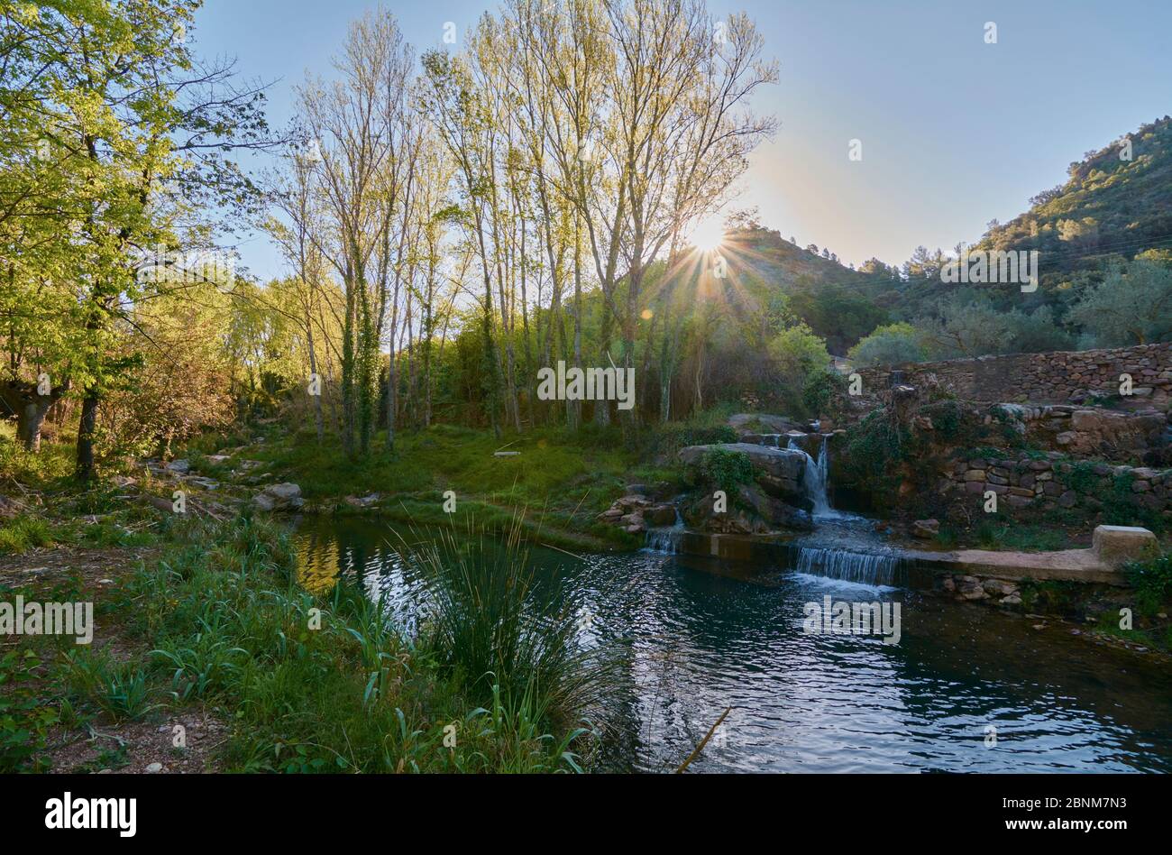 Ruhiger Fluss an einem hellen Frühlingsmorgen. Farben der Natur Stockfoto