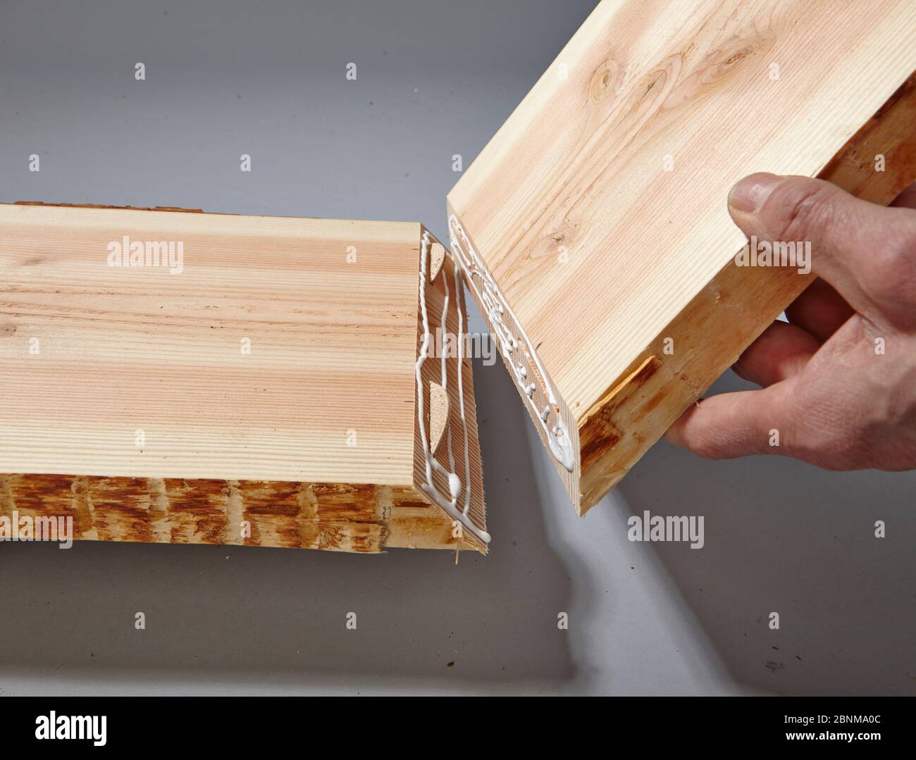 Bau eines Holzregals, Do-it-yourself-Produktion, Schritt für Schritt, Schritt 7 Zusammenführen der beiden zu verleimenden Platten, mit Flachdübeln zur Stabilisierung der Klebung Stockfoto