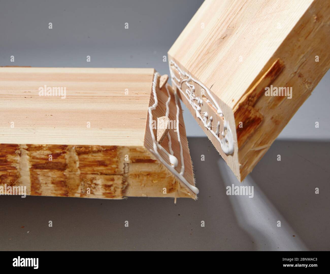 Bau eines Holzregals, Eigenfertigung, Schritt für Schritt, Schritt 15, Verschmelzung der beiden zu verleimenden Platten, mit Flachdübeln zur Stabilisierung der Klebung, weitere Aufnahmen eines weiteren DIY-Regals Stockfoto