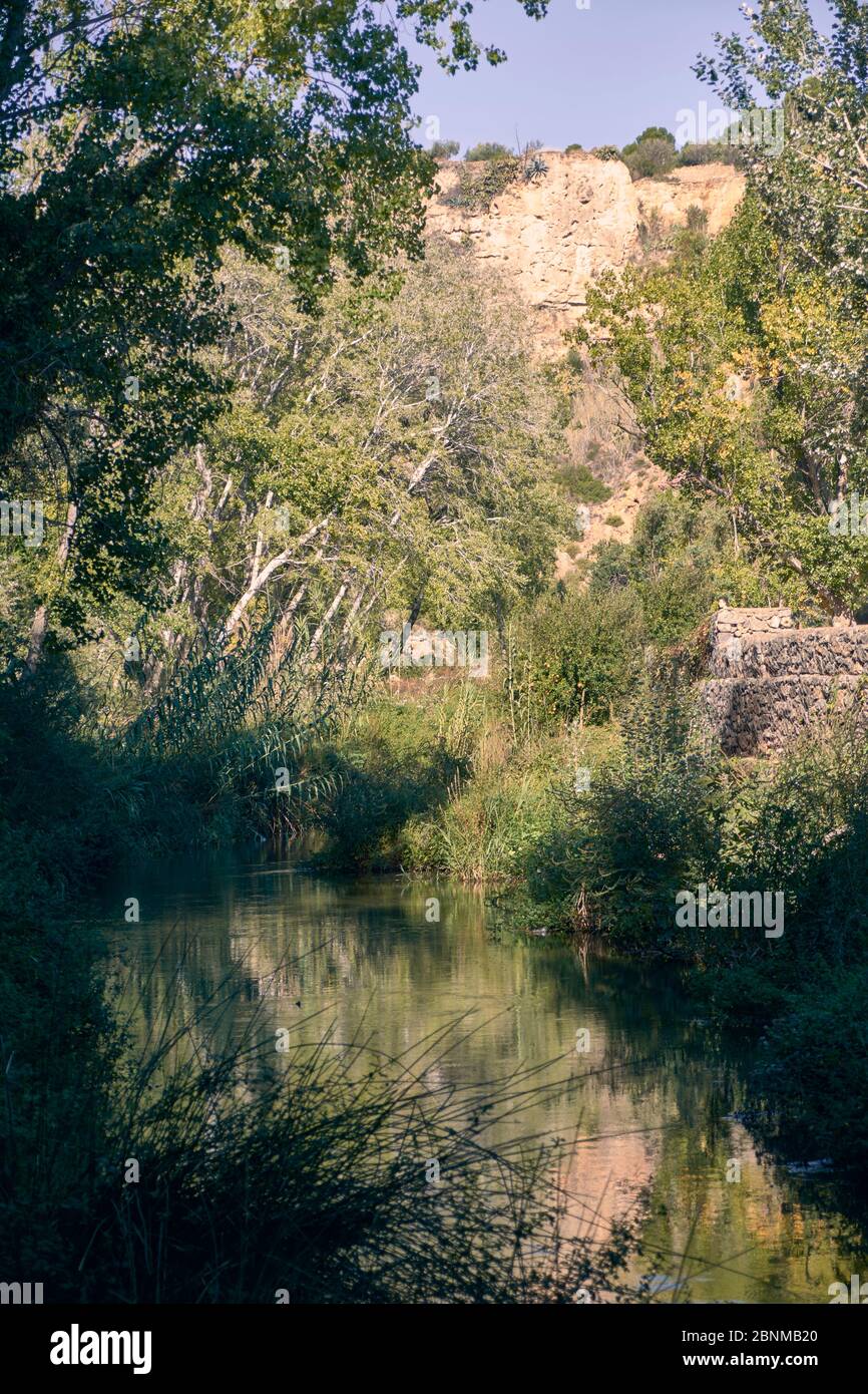 Bach mit ruhigem und transparentem Wasser, Vegetation und hellem Licht Stockfoto