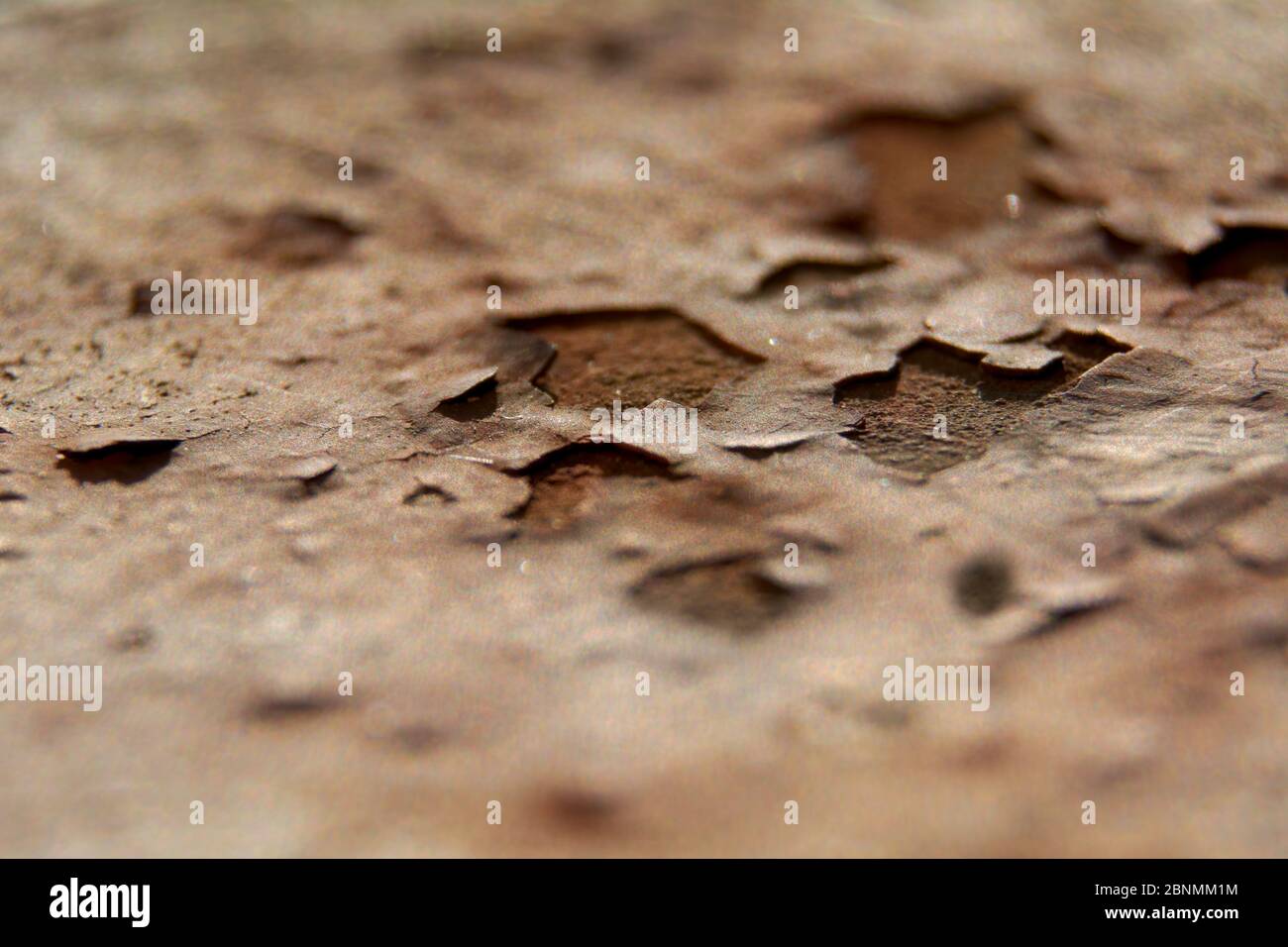 Rost auf einem Metallgeländer, weiß, Texturen, grau und weiß, Rauheit, Makro Stockfoto