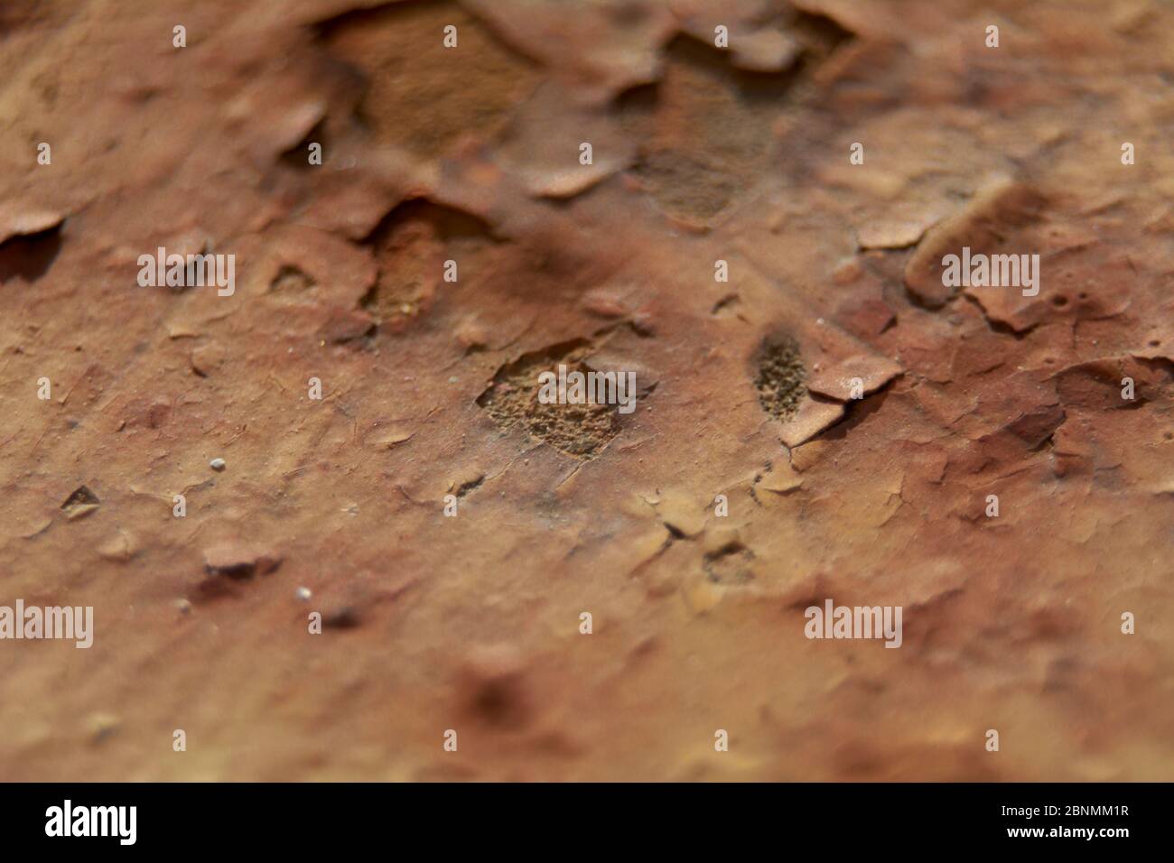 Rost auf einem Metallgeländer, weiß, Texturen, grau und weiß, Rauheit, Makro Stockfoto