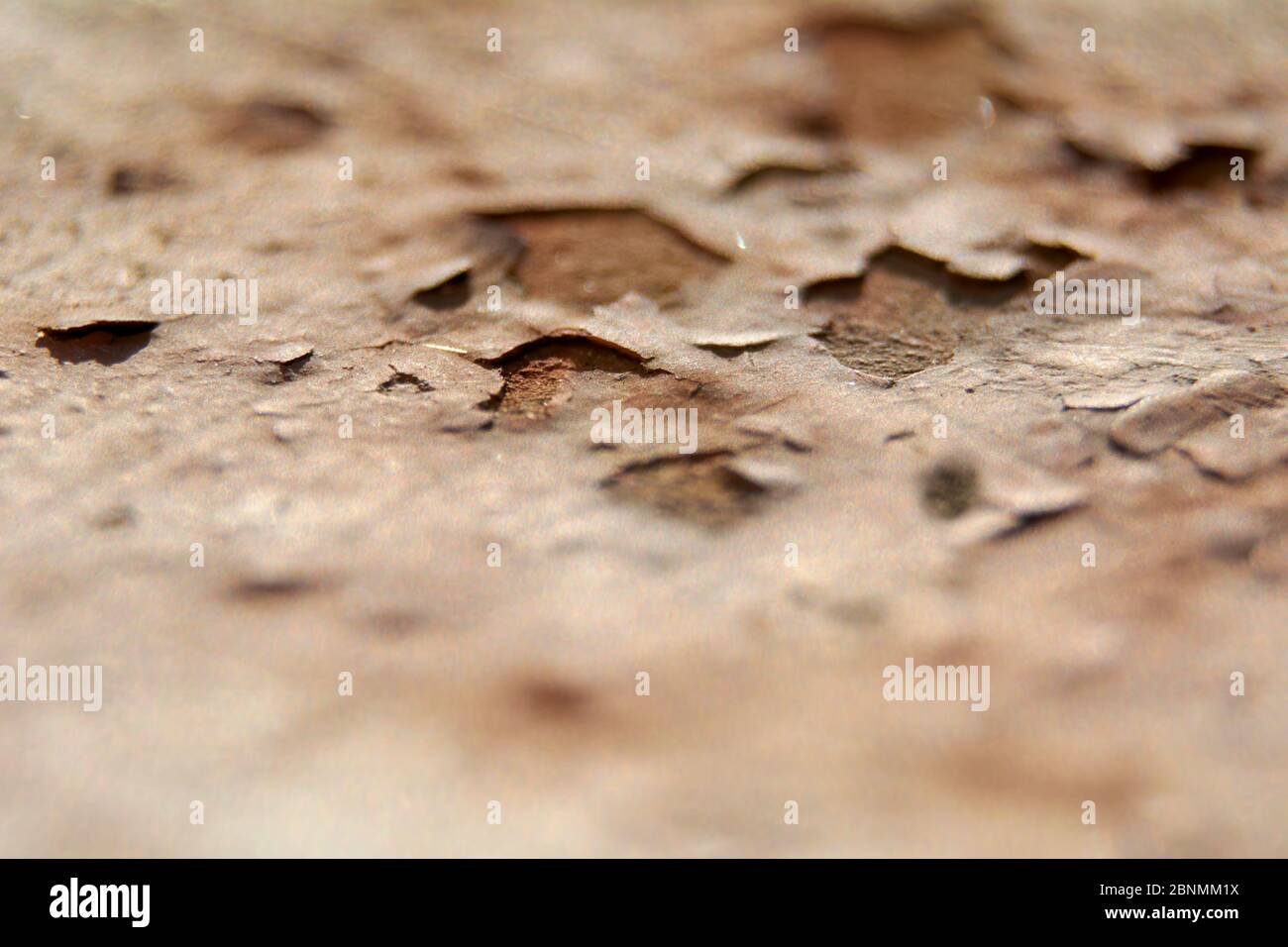 Rost auf einem Metallgeländer, weiß, Texturen, grau und weiß, Rauheit, Makro Stockfoto