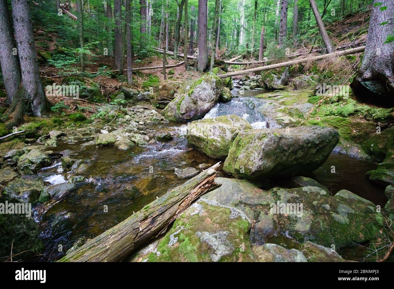 Wanderung zu den Rißloch Wasserfällen im Bayerischen Wald bei Bodenmais Niederbayern Deutschland Stockfoto