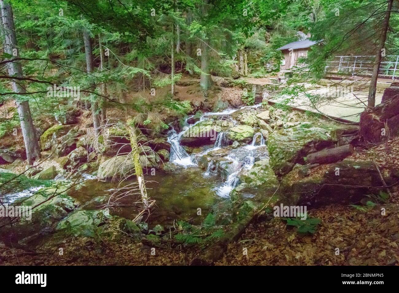 Wanderung zu den Rißloch Wasserfällen im Bayerischen Wald bei Bodenmais Niederbayern Deutschland Stockfoto