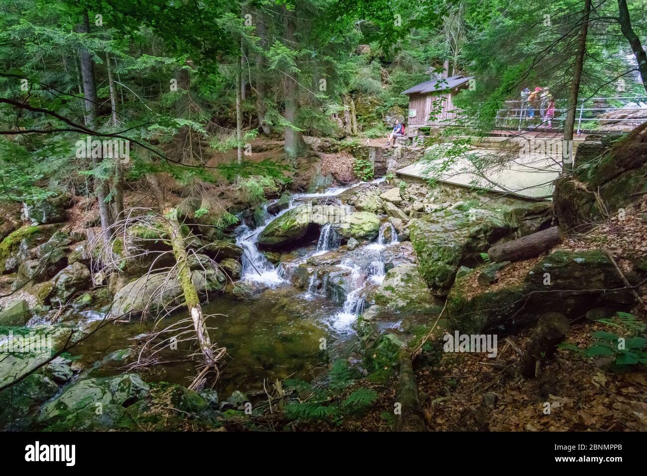 Wanderung zu den Rißloch Wasserfällen im Bayerischen Wald bei Bodenmais Niederbayern Deutschland Stockfoto