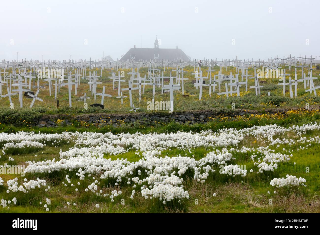 Grönländisch Friedhof, Nuuk, Grönland, Juli 2016. Stockfoto