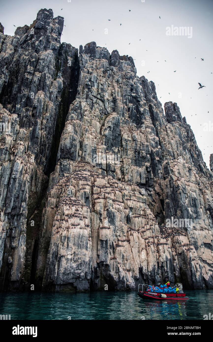 Touristenboot zur Beobachtung der Brunnich-Guillemoten (Uria lomvia), Nistplätze, Vogelfelsen von Alkefjellet, Meerenge Hinloopen, Svalbard, Norwegen. Juli. Stockfoto