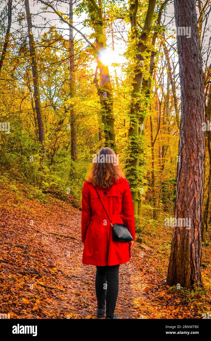 Junge kaukasische Frau in einem roten Mantel auf einem Weg in einem bunten Herbstwald. Sonne scheint durch die Bäume. Herbst Mode, Farben und Stil. Modetrends im Herbst. Rotkäppchen Konzept. Stockfoto
