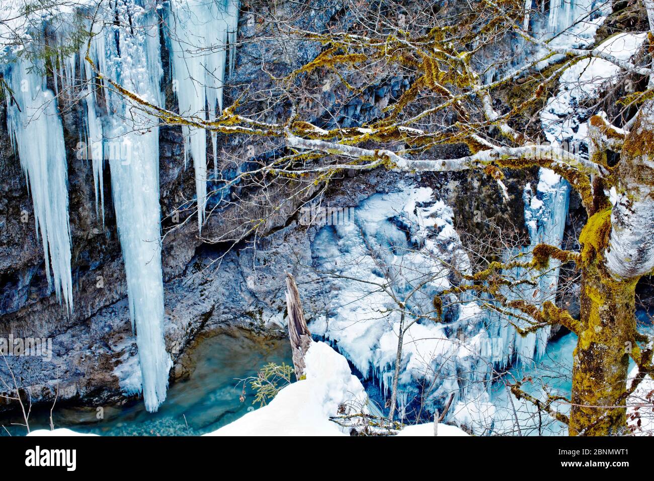 Mächtige Eiszapfen an der Canyonwand des Rißbachs im Karwendelgebirge Stockfoto