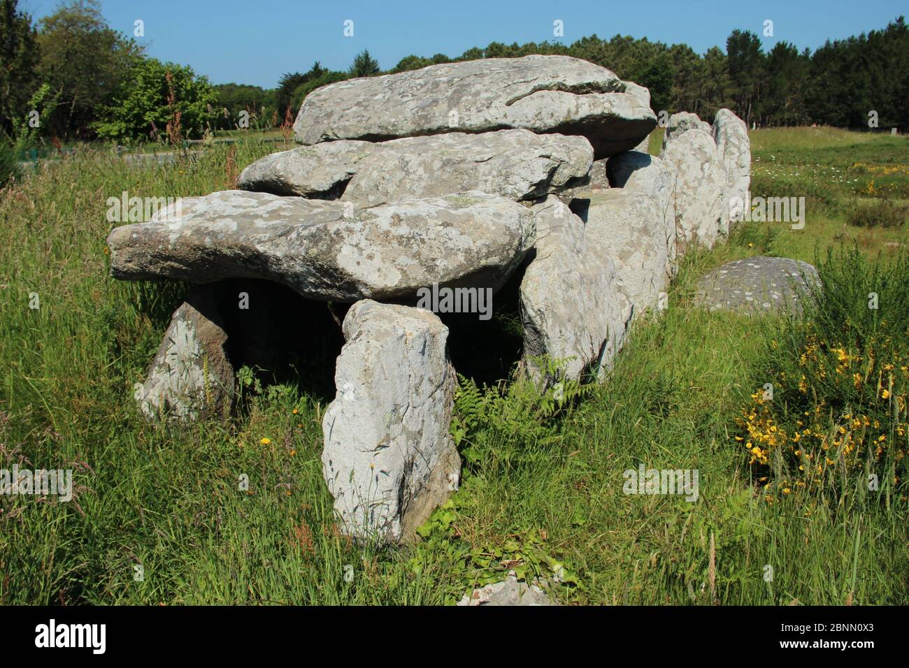 Dolmen de Kermario unter den Kermario-Alignements (Alignements de Kermario) in den Carnac-Steinen in der Nähe der Stadt Carnac im Nordwesten Frankreichs Stockfoto