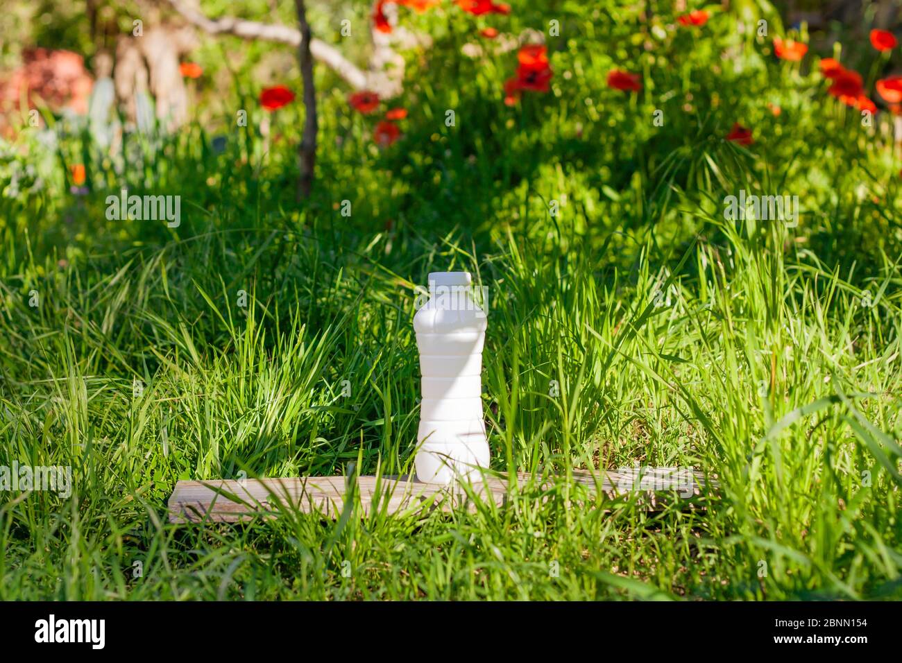 Flasche Milch oder Kefir auf grünem Naturhintergrund. 1. Juni Wold Milk Day Konzept Stockfoto