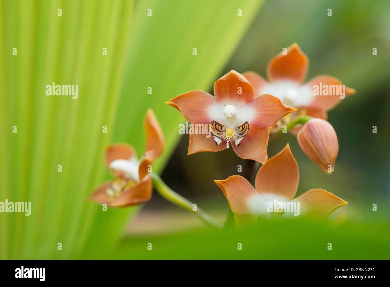 Utrecht university Fotos und Bildmaterial in hoher Auflösung Alamy