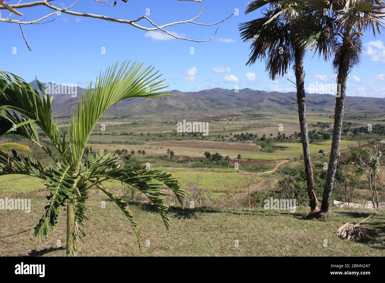 Blick auf das Valle de los Ingenios (Tal der Zuckermühlen) von der Manaca Iznaga Plantage in der Nähe von Trinidad, Kuba. Stockfoto