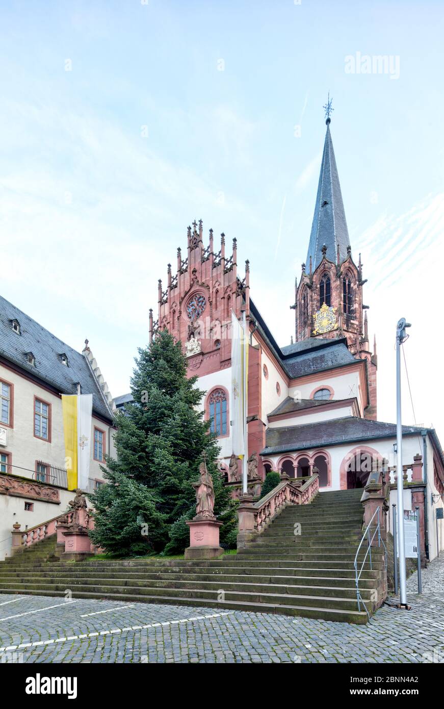 Stiftsmuseum, Tannenbaum, Weihnachten, Aschaffenburg, Franken, Bayern