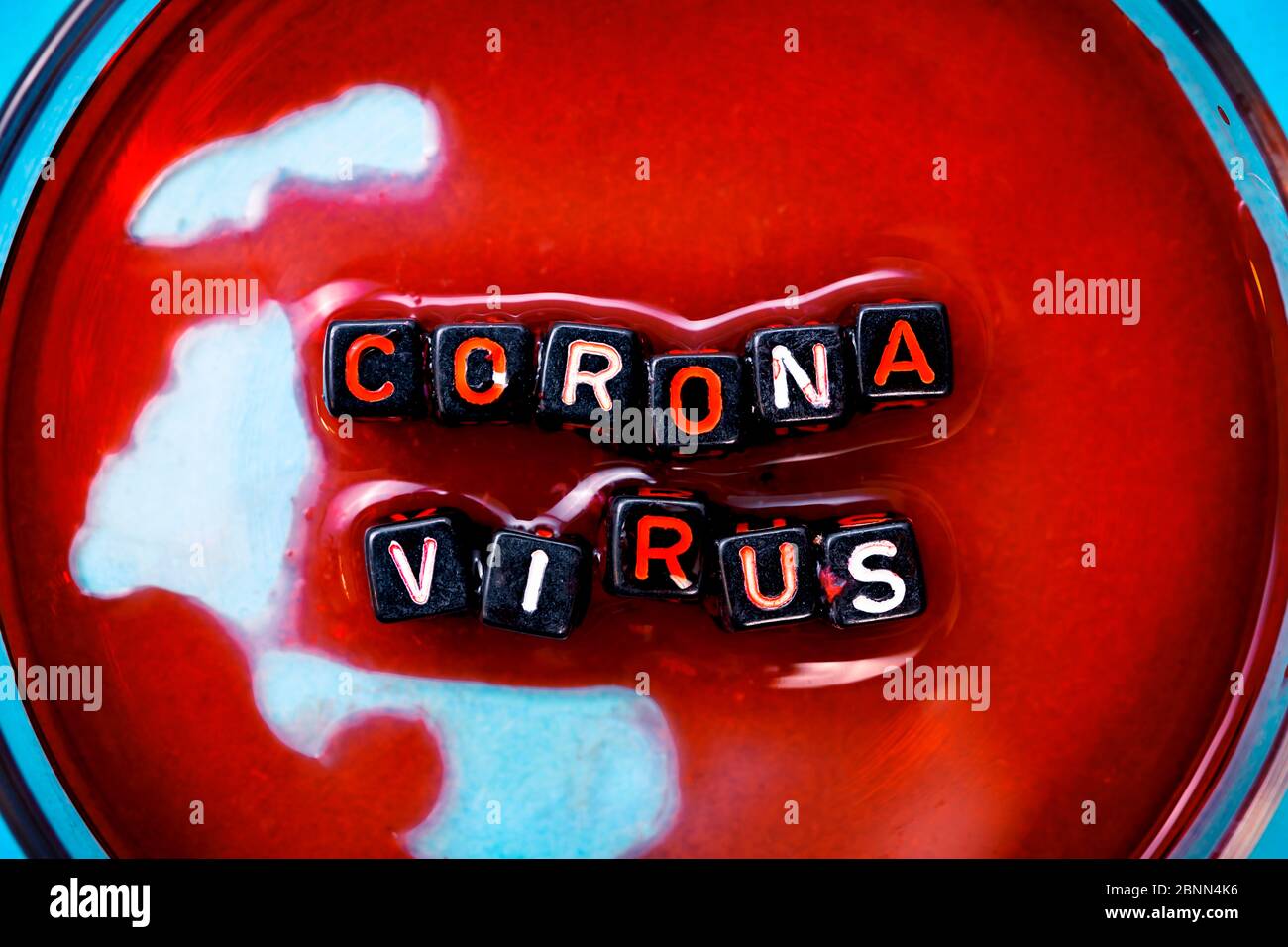 Der Schriftzug Coronavirus in einer Petrischale mit Reagenzglas und Pipette, symbolisches Foto des Coronavirus Stockfoto