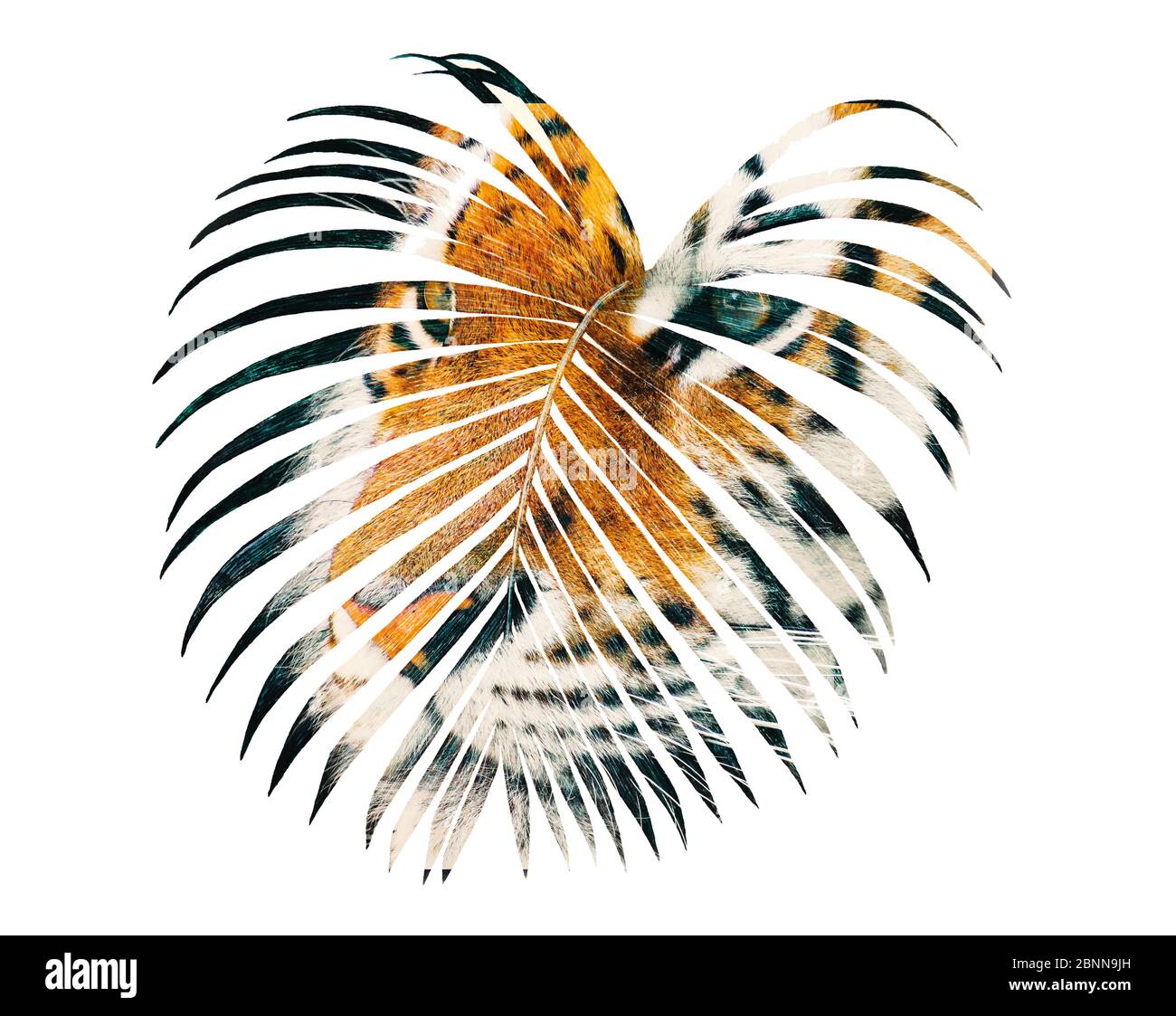 Tiger und tropische Palmblatt Doppelbelichtung Stockfoto