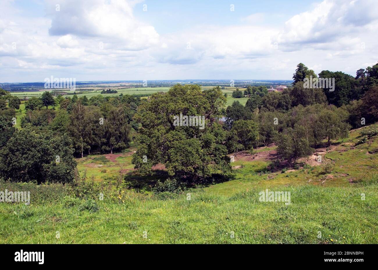 Der Blick über Ampthill Park vom Green Sand Ridge. Stockfoto
